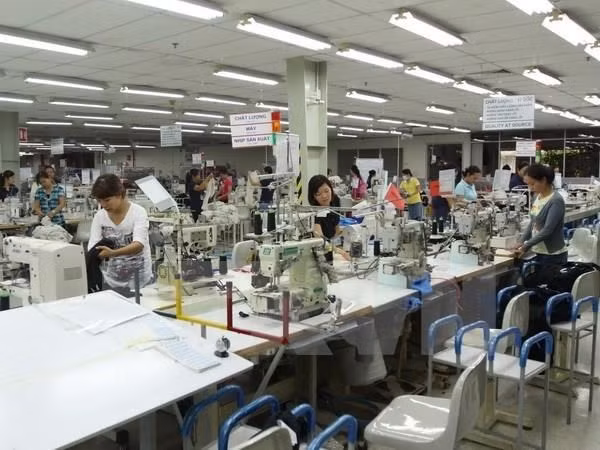 Provincia vietnamita permite la entrada de trabajadores extranjeros ảnh 1 Provincia vietnamita permite la entrada de trabajadores extranjeros ảnh 1