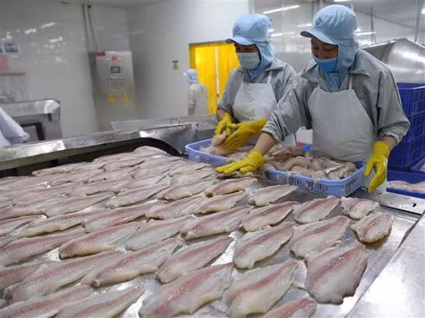 Aumentan exportaciones de productos agrícolas, silvícolas y acuícolas de Vietnam ảnh 1 Aumentan exportaciones de productos agrícolas, silvícolas y acuícolas de Vietnam ảnh 1