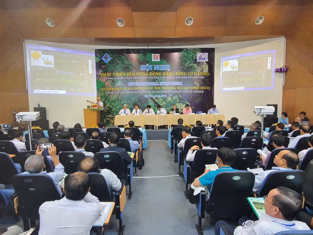 Delta del Mekong busca desarrollo sostenible ante cambio climático ảnh 1 Delta del Mekong busca desarrollo sostenible ante cambio climático ảnh 1