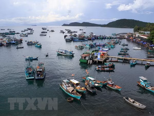 Empeñado Vietnam en fomentar desarrollo sostenible de economía marítima ảnh 1