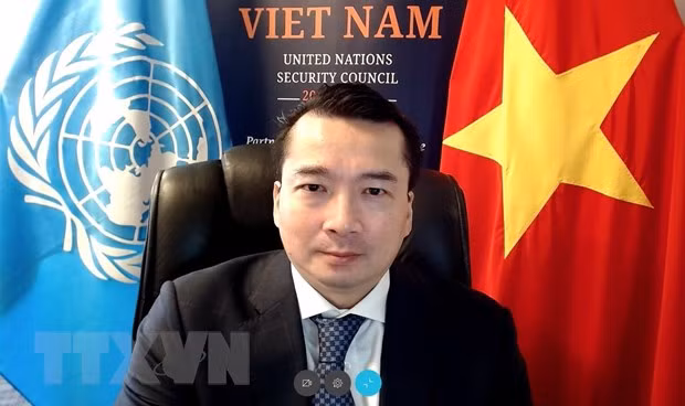 Vietnam apoya solución integral para crisis libia ảnh 1