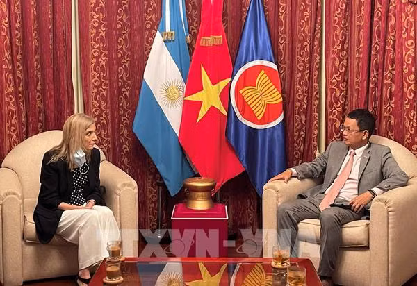 Telam dispuesta a fortalecer cooperación con la Agencia Vietnamita de Noticias ảnh 1