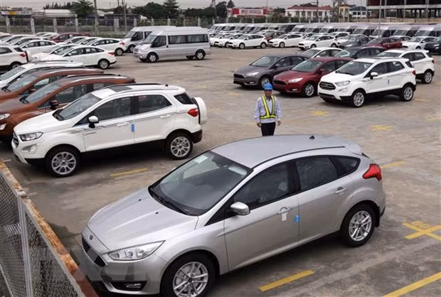 Ford por retirar miles de autos Ranger y Everest del mercado vietnamita ảnh 1