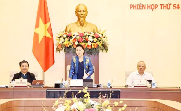Asamblea Nacional hace contribución importante al éxito general de Vietnam ảnh 1