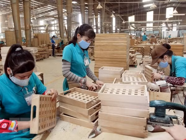 Debaten oportunidades para impulsar productos madereros y artesanales en Estados Unidos ảnh 1