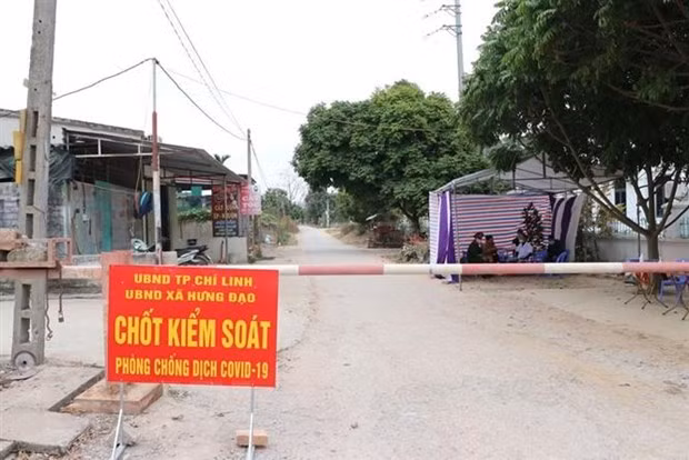 Sancionan a casos de violación de normas contra COVID-19 en provincia vietnamita ảnh 1