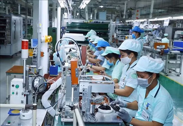 Recomiendan a Vietnam acelerar reforma para mantener ritmo de crecimiento ảnh 1