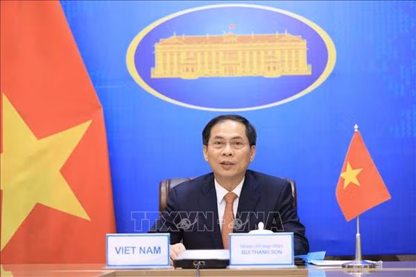 Sector diplomático de Vietnam trabaja por contribuir al cumplimiento de doble objetivo nacional ảnh 1 Sector diplomático de Vietnam trabaja por contribuir al cumplimiento de doble objetivo nacional ảnh 1