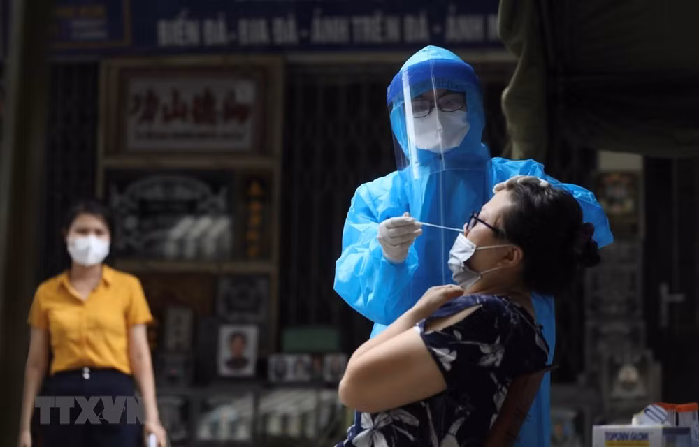 Cae número de casos diarios de COVID-19 en Vietnam ảnh 1