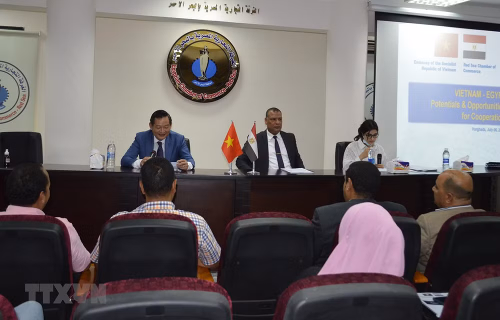 Vietnam y Egipto promueven cooperación en comercio y turismo ảnh 1