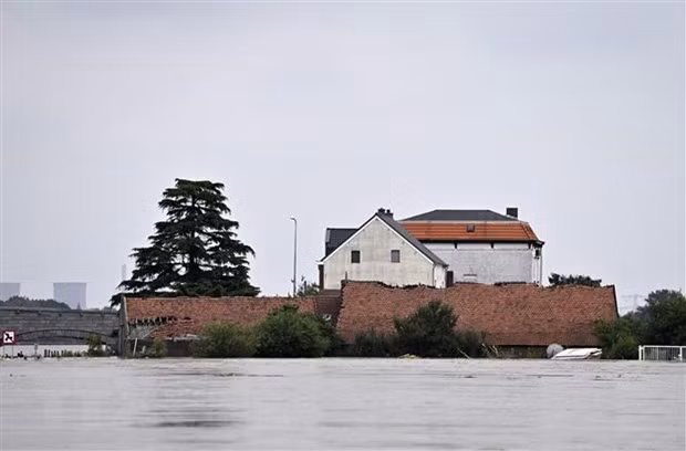 Expresa Vietnam solidaridad a Bélgica ante consecuencias de inundaciones ảnh 1