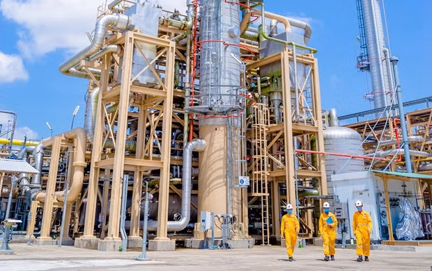 Ingreso total de corporación petrolera vietnamita alcanza 624 millones de dólares hasta junio ảnh 1