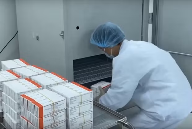 Avanza Vietnam en cooperación para transferencia de tecnología de vacunas contra COVID-19 ảnh 1