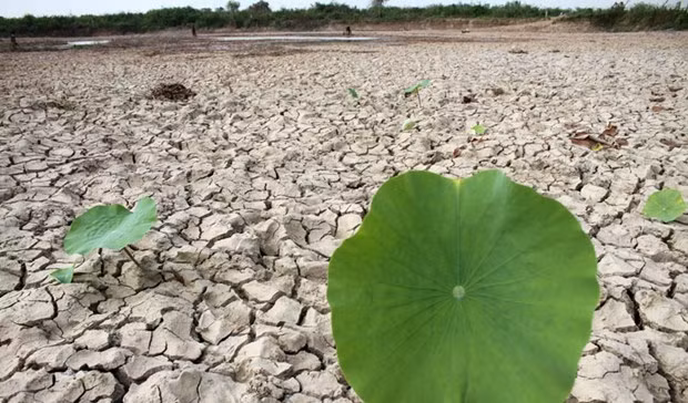 Cambio climático afecta a gran parte de la población de Camboya ảnh 1