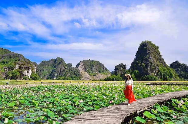 Vietnam tiene potencialidades para desarrollar el turismo rural ảnh 1