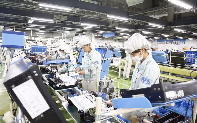 Vietnam registra un récord de nuevas empresas en el primer semestre de 2021 ảnh 1