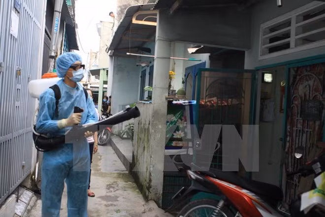Detectan nuevo caso de Zika en provincia de Vietnam ảnh 1