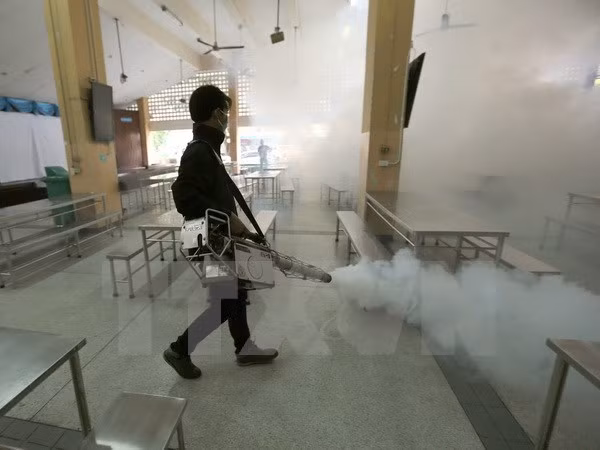 Tailandia detecta 33 nuevos casos de Zika ảnh 1