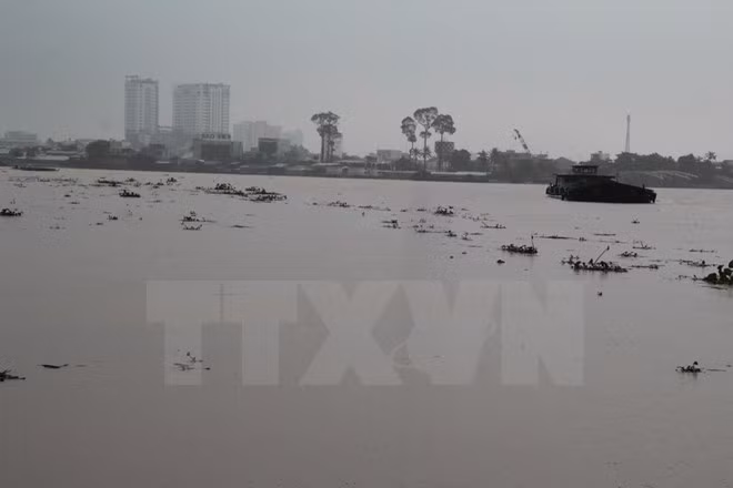 Debaten en Vietnam soluciones para manejar agua en las cuencas de ríos ảnh 1 Debaten en Vietnam soluciones para manejar agua en las cuencas de ríos ảnh 1