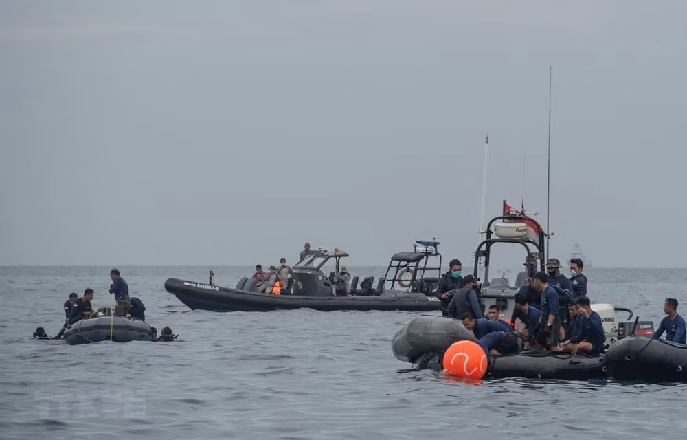  Indonesia trata de recuperar dos cajas negras del avión estrellado ảnh 1