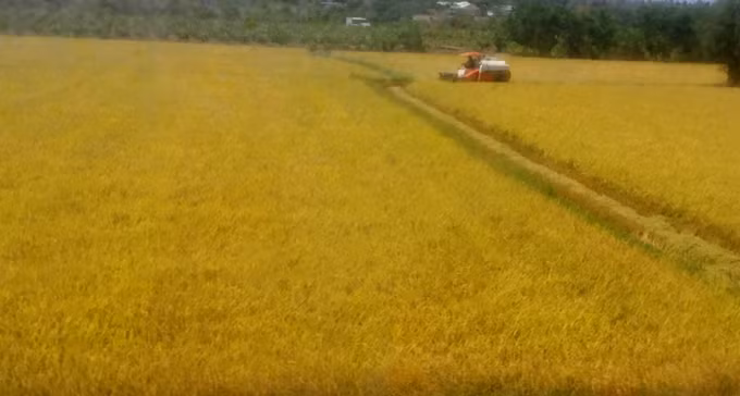 Provincia vietnamita de Long An ampliará modelos de protección ambiental ảnh 1 Provincia vietnamita de Long An ampliará modelos de protección ambiental ảnh 1
