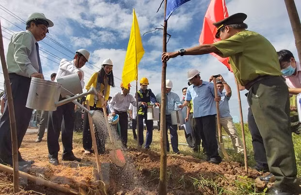 Lanzan campaña de plantación de árboles en provincia vietnamita de Ben Tre ảnh 1