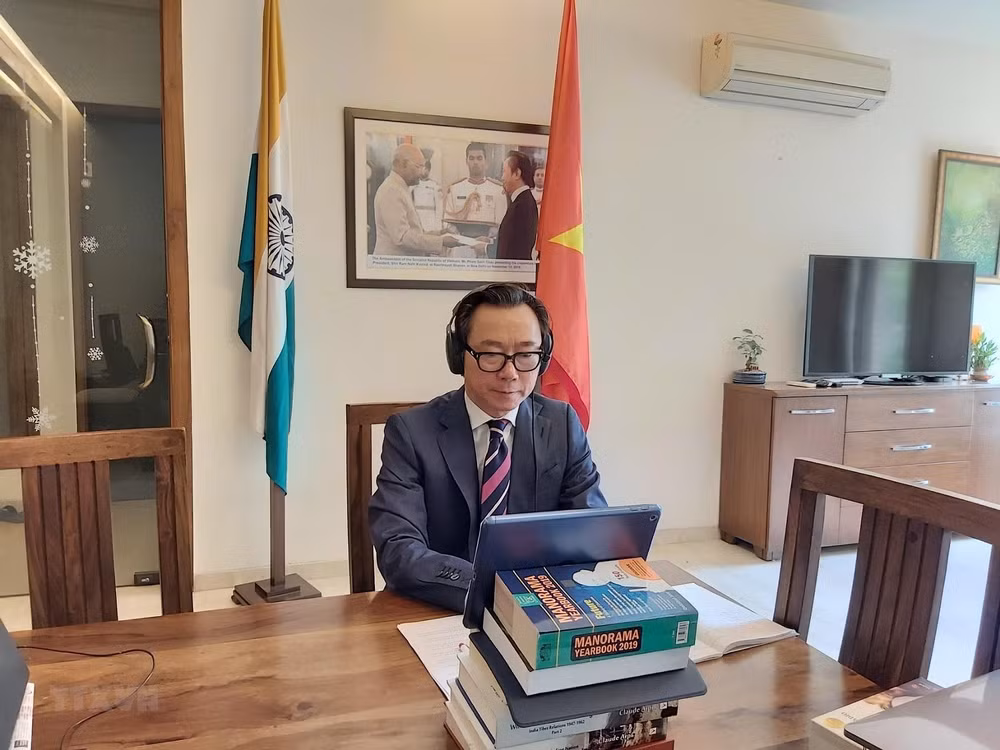 Interés del país: brújula para las labores diplomáticas de Vietnam ảnh 1