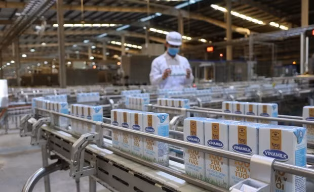 Otras empresas de Vietnam reciben permiso para exportar leche a China ảnh 1