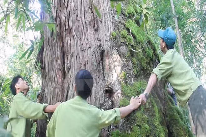 El reino po mu en Tay Giang ảnh 1