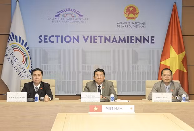 Vietnam insta a coordinación de organizaciones francófonas para aliviar impactos del COVID-19 ảnh 1