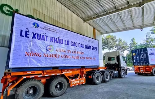 Vietnam exportará mil 600 toneladas de arroz fragante a Singapur y Malasia ảnh 1 Vietnam exportará mil 600 toneladas de arroz fragante a Singapur y Malasia ảnh 1