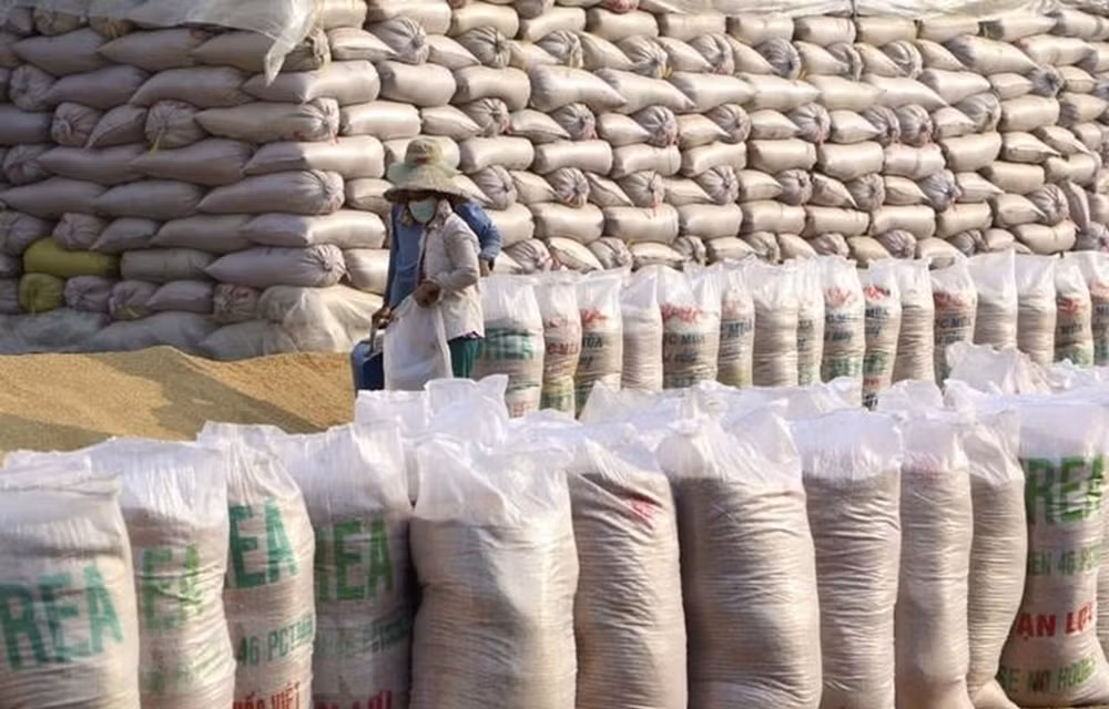 Filipinas importará 1,7 millones de toneladas de arroz en 2021 ảnh 1