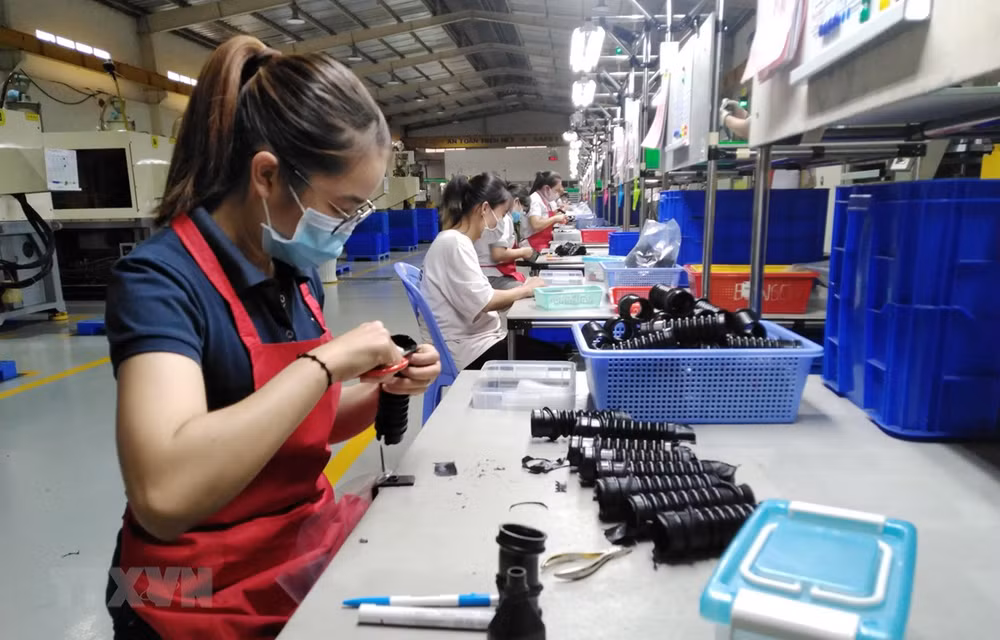 Polo industrial de Vietnam atrae récord de inversión extranjera ảnh 1