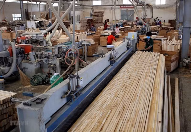 Vietnam busca obtener 14 mil millones de dólares por exportaciones madereras en 2021 ảnh 1