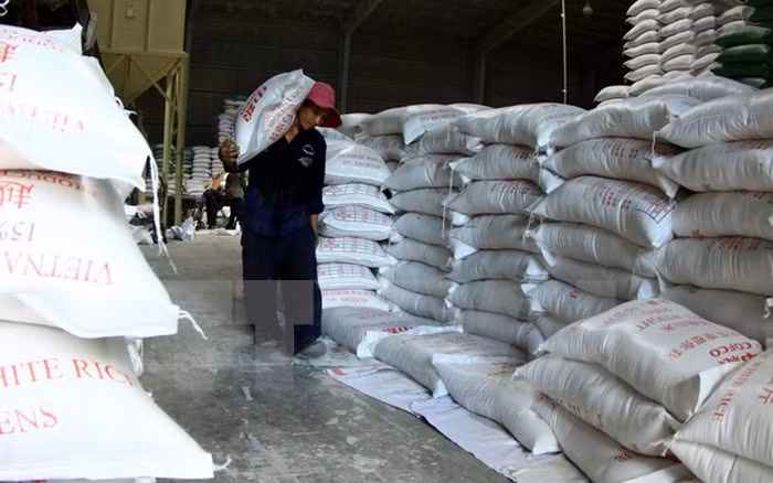 Registran fuerte aumento de exportaciones de Delta del río Mekong ảnh 1