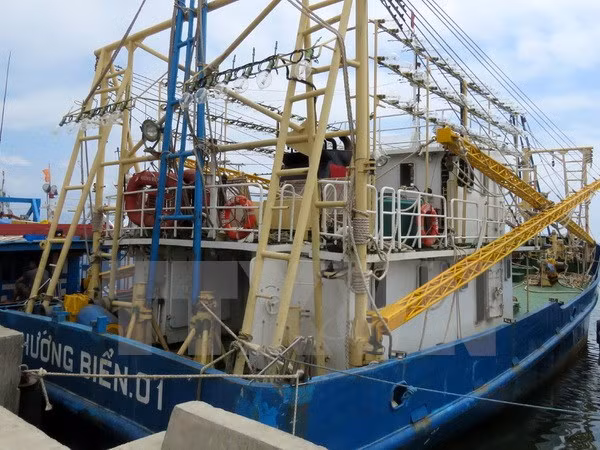 Premier vietnamita exige investigación sobre construcción de pesqueros de baja calidad ảnh 1
