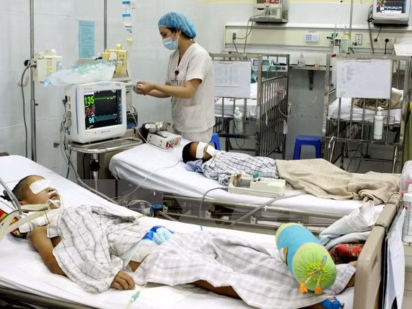  Vietnam reporta 62 casos de encefalitis japonesa ảnh 1