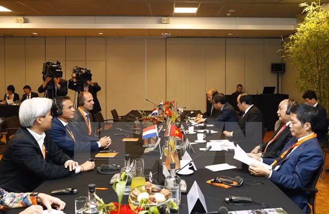 Abogan por fomentar inversiones neerlandesas en Vietnam ảnh 1