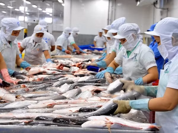 Empresas exportadoras vietnamitas se esfuerzan para entrar al mercado europeo ảnh 1
