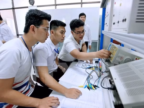 Vietnam impulsa investigación científica en universidades ảnh 1