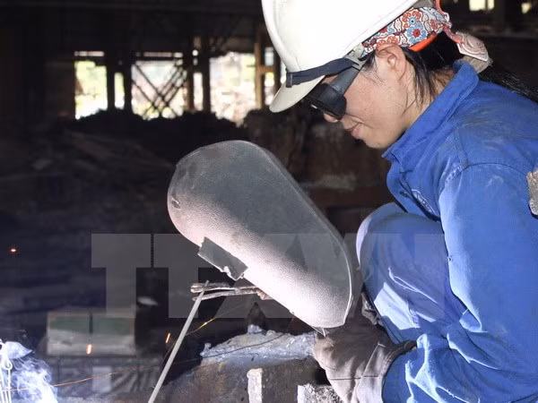 Astillero rumano reclutará a 300 trabajadores vietnamitas ảnh 1 Astillero rumano reclutará a 300 trabajadores vietnamitas ảnh 1