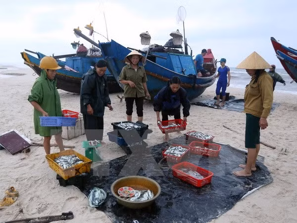Aguas de la costa central de Vietnam son seguras, afirman autoridades ảnh 1