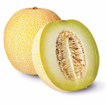 Cultivo de melón de alta tecnología eleva ingresos de agricultores vietnamitas ảnh 1