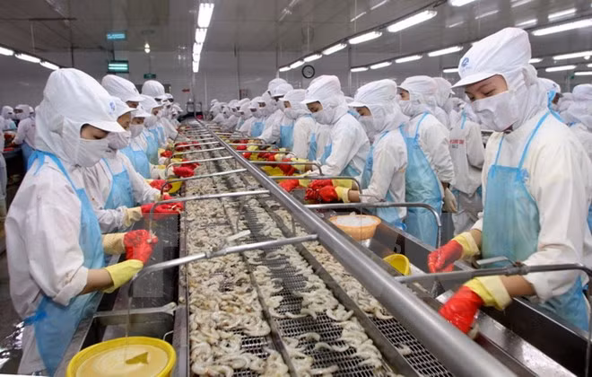 Provincia vietnamita de Tay Ninh logró atraer gran inversión a zonas industriales ảnh 1