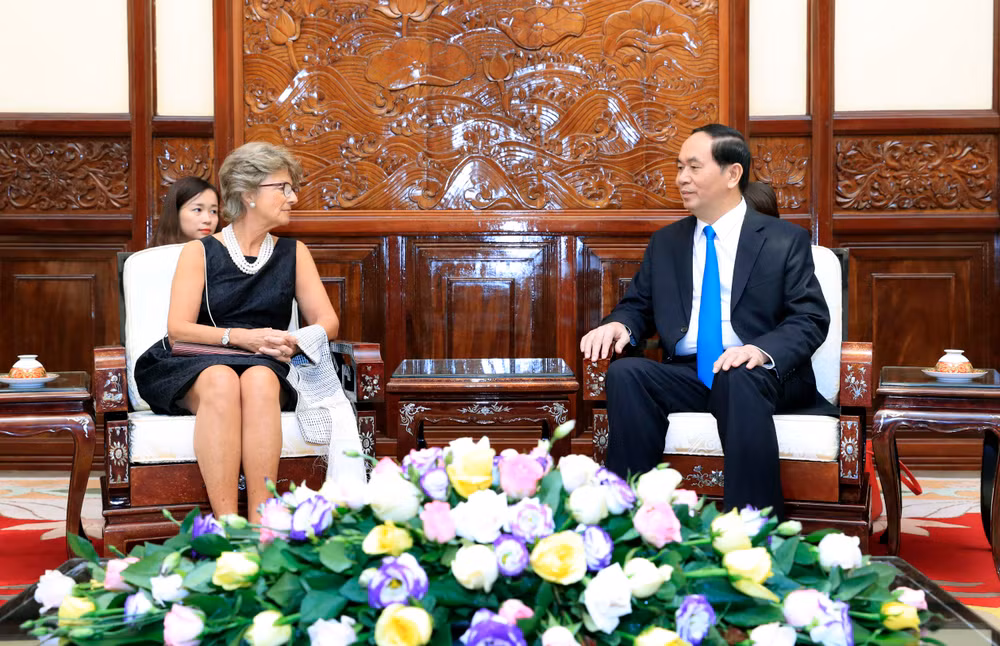 Presidente Dai Quang: Vietnam atesora los lazos con España ảnh 1