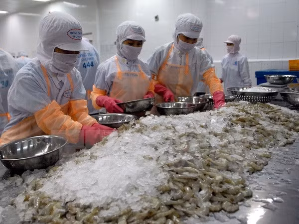 Vietnam aumenta exportación de camarones ảnh 1