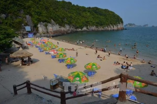 Hai Phong atrae a más de tres millones de turistas en primer semestre de 2017 ảnh 1
