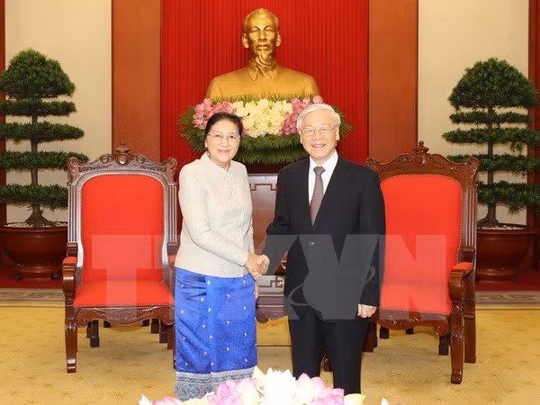 Dirigente partidista reafirma apoyo vietnamita a empresa de renovación de Laos ảnh 1
