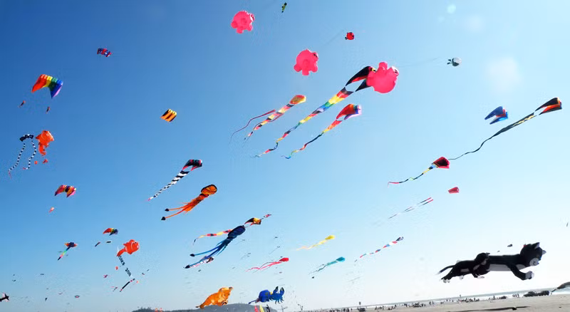 Celebrarán en playa vietnamita festival de papalotes ảnh 1