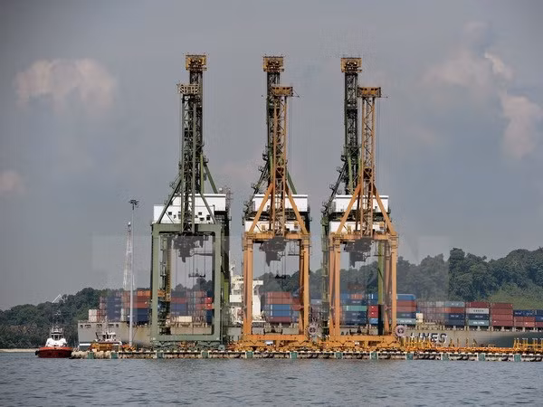 Valor de exportaciones de Singapur crece en junio ảnh 1 Valor de exportaciones de Singapur crece en junio ảnh 1